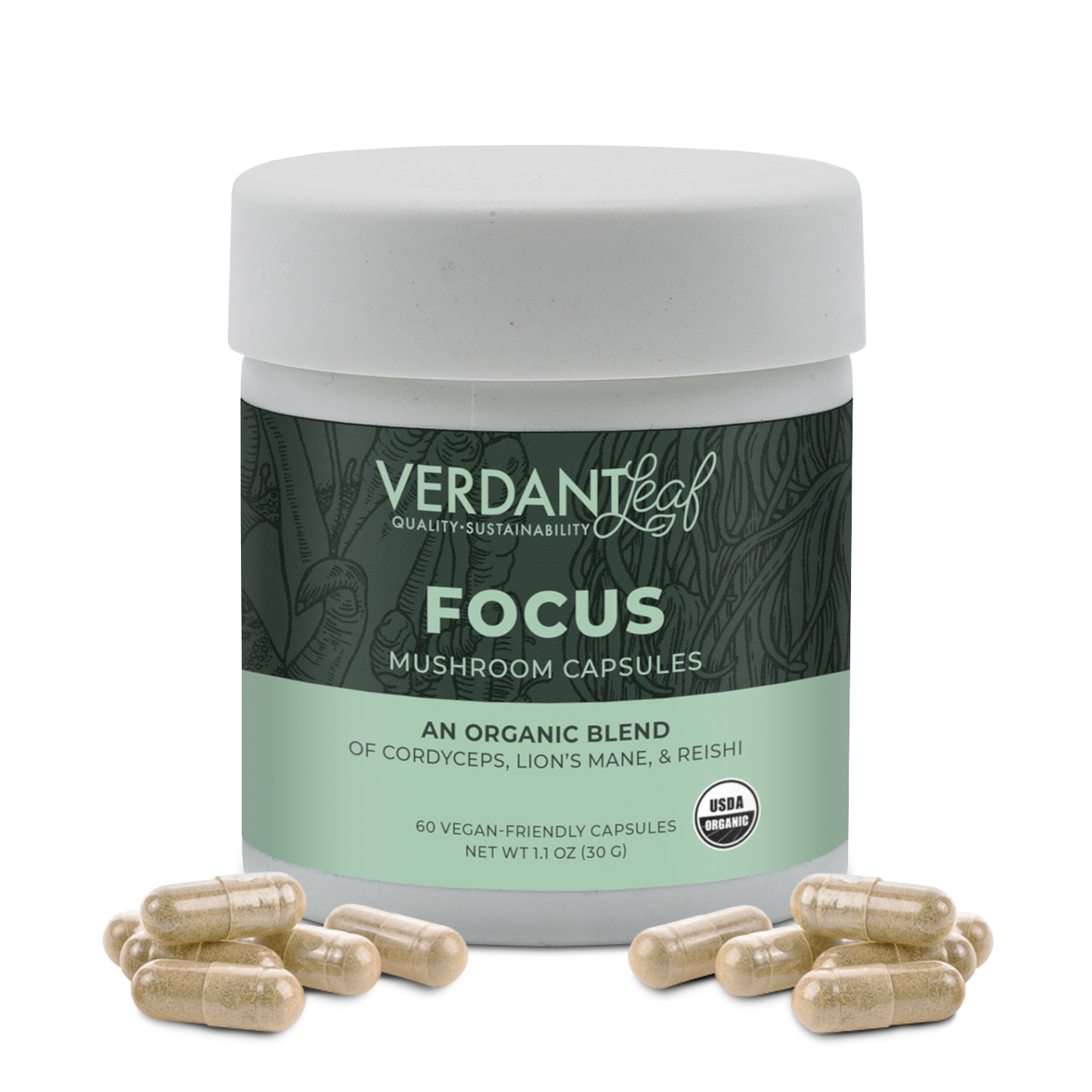 Focus Mushroom Capsules