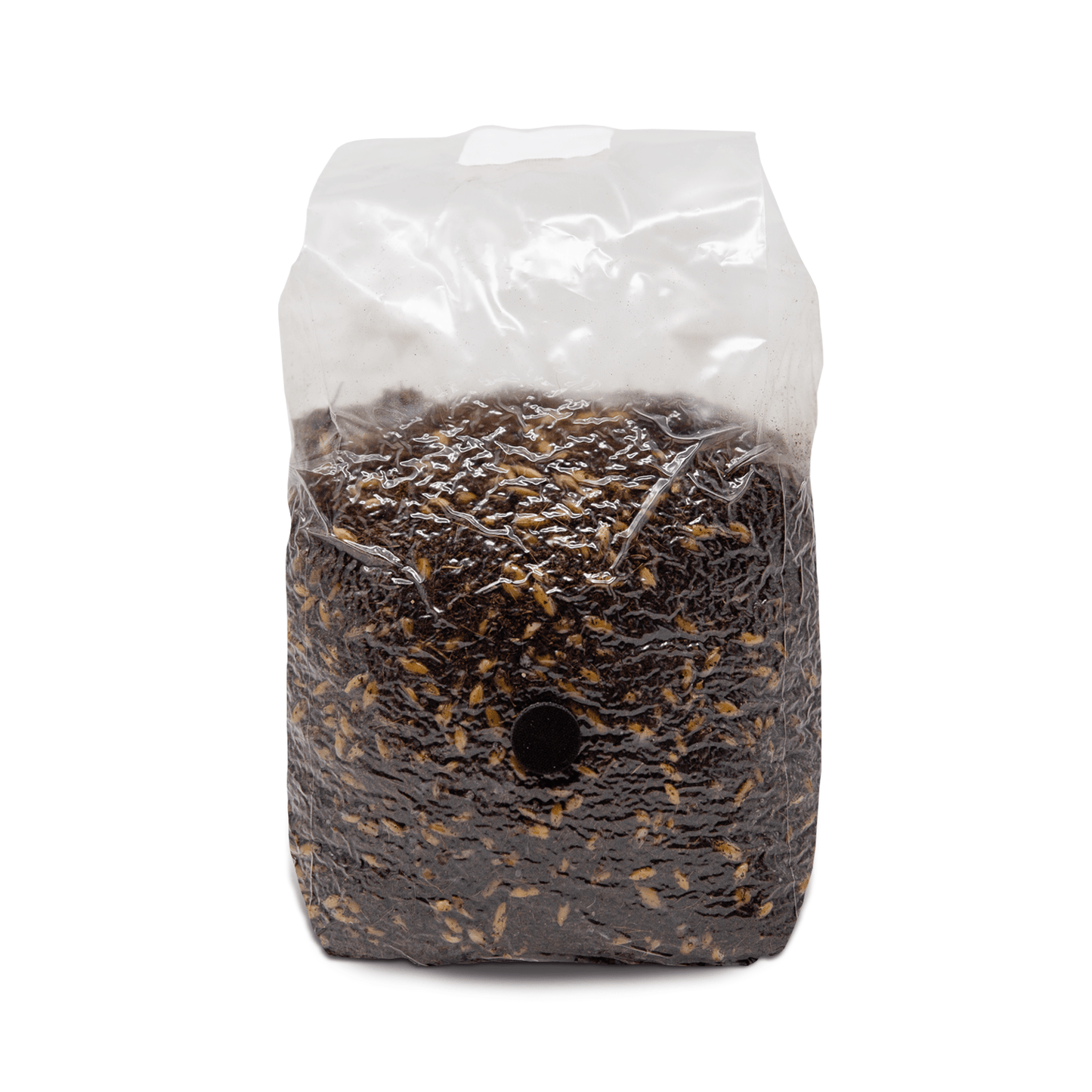 Coco Coir Mushroom Grow Bags