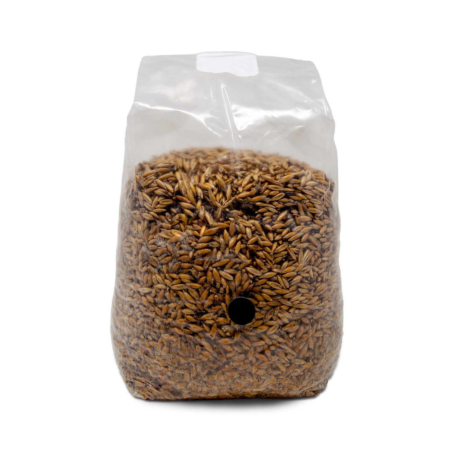 Organic Oat Mushroom Grow Bags