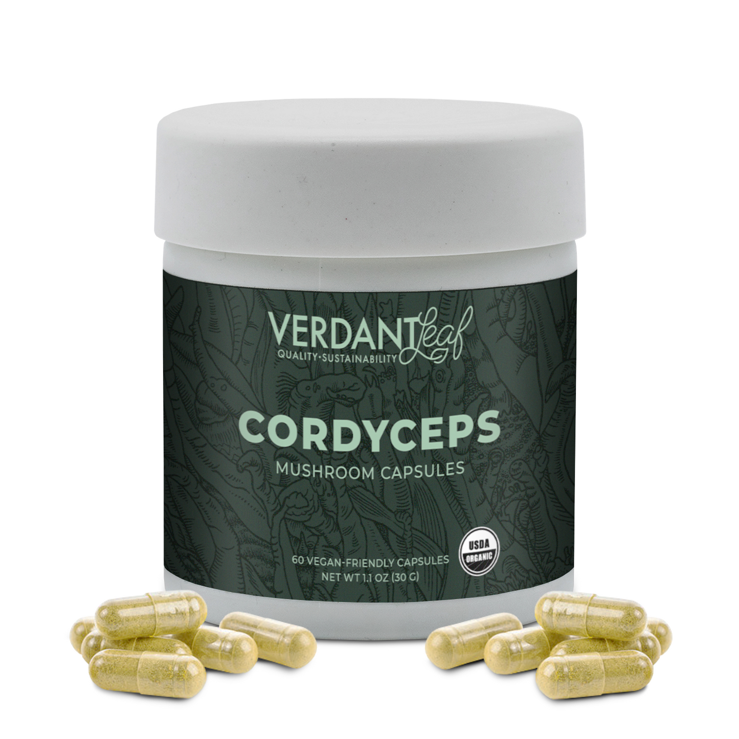 Cordyceps Capsules